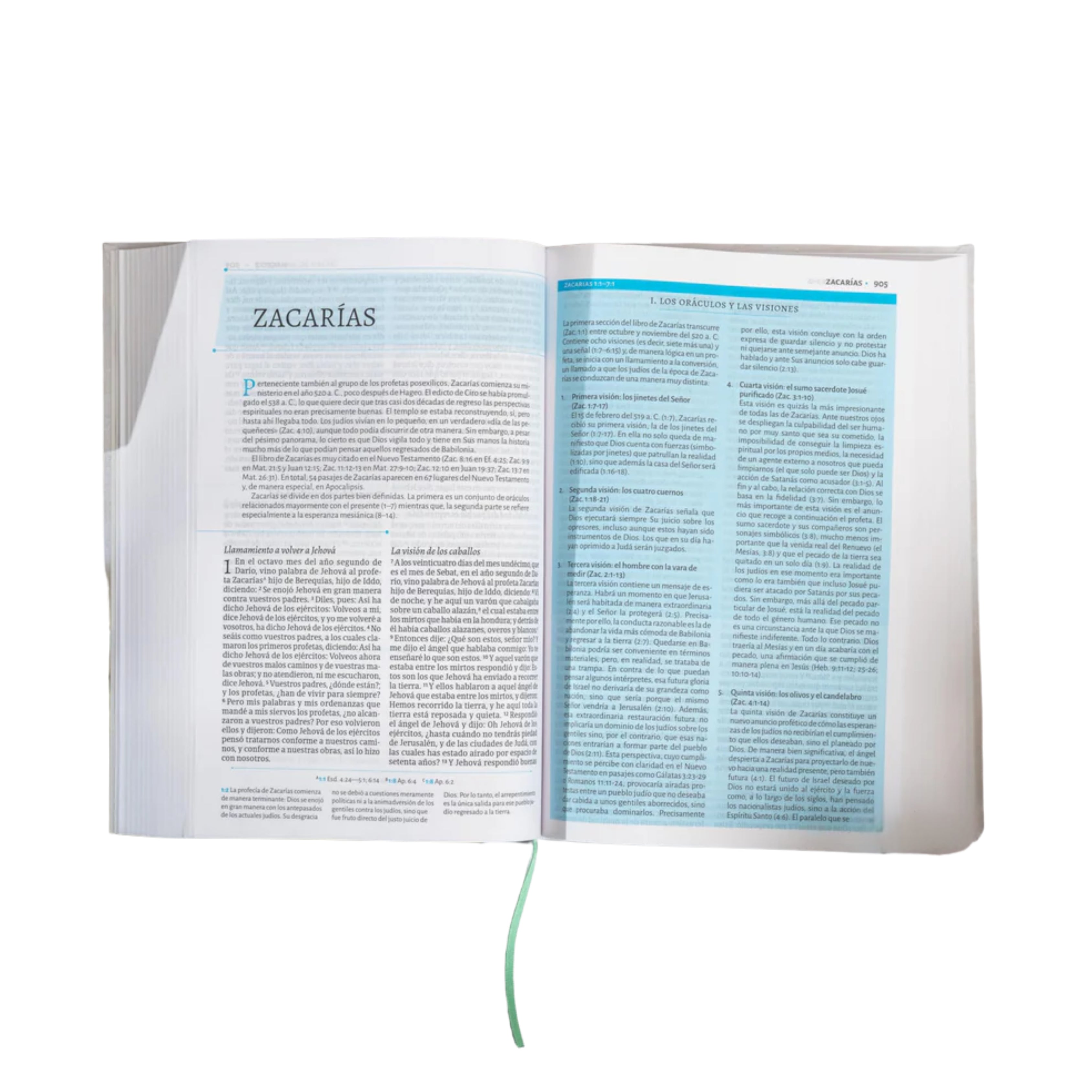 RVR 1960 Biblia de estudio de César Vidal, tapa dura