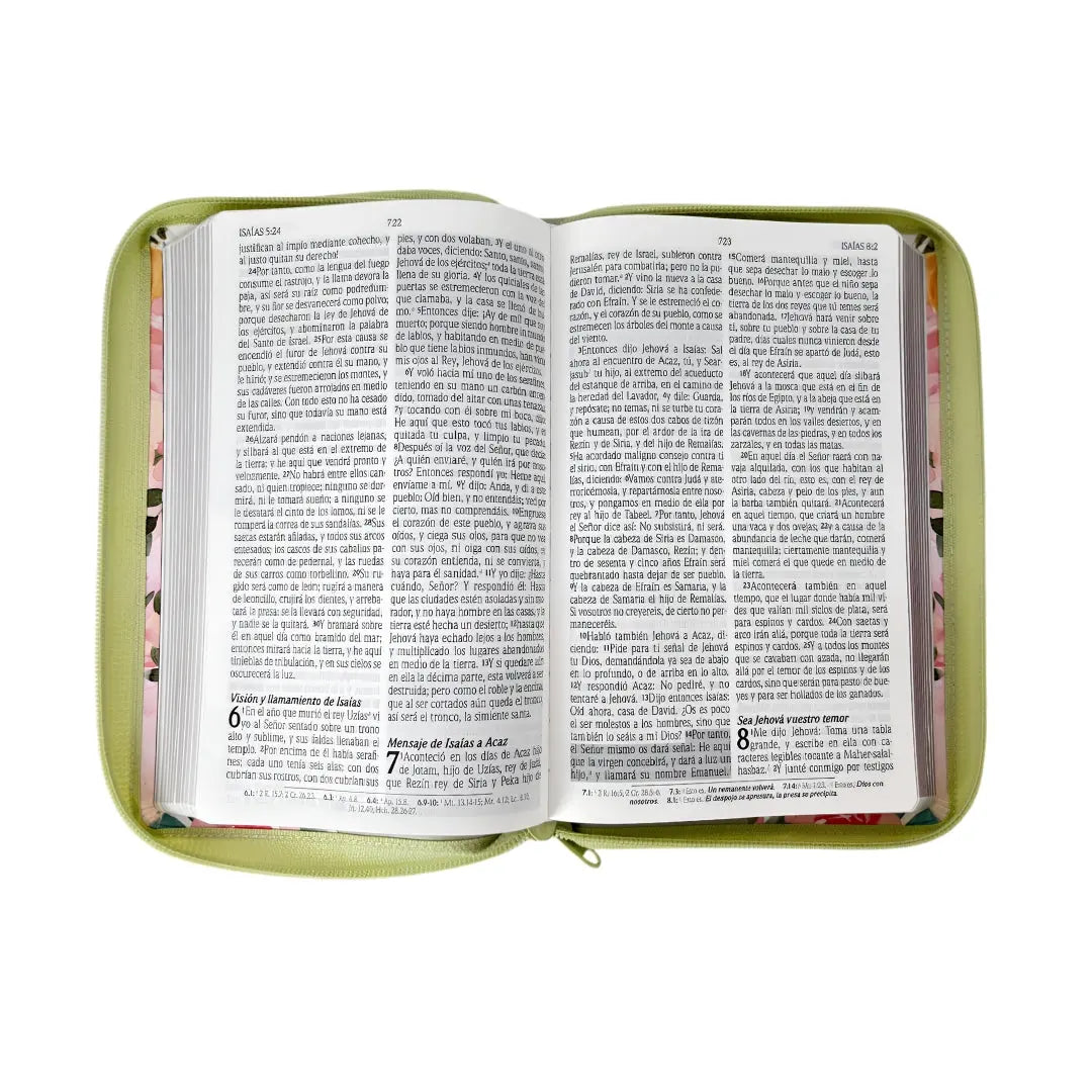 Biblia edicion de promesas Rvr 1960 tamaño manual letra grande c/cierre verde flores