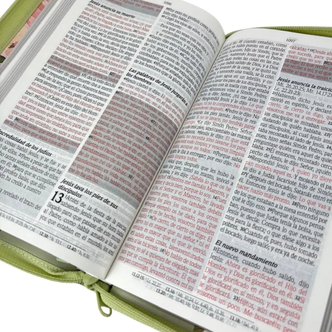 Biblia edicion de promesas Rvr 1960 tamaño manual letra grande c/cierre verde flores
