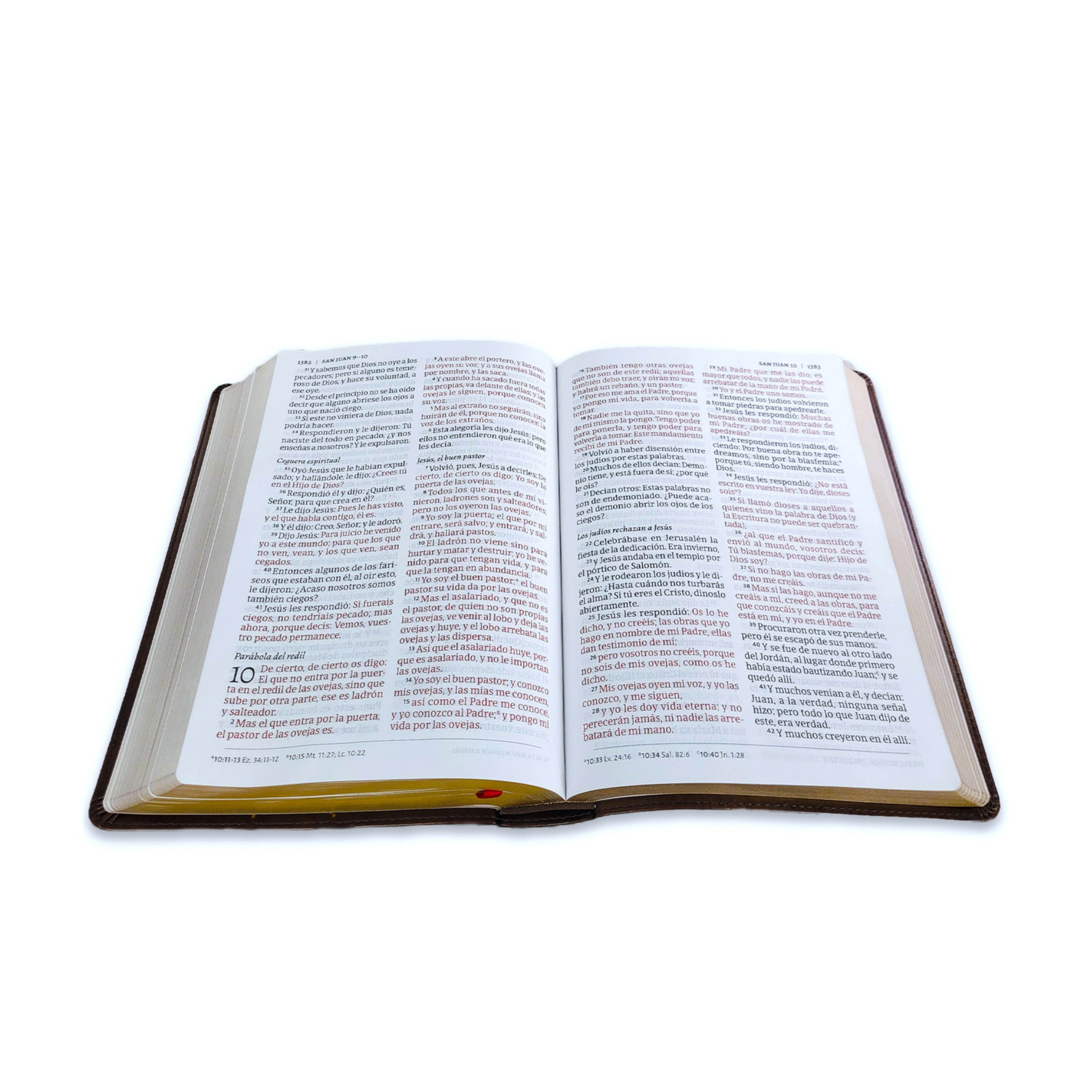 RVR 1960 Biblia de credos y confesiones, café, tapa dura