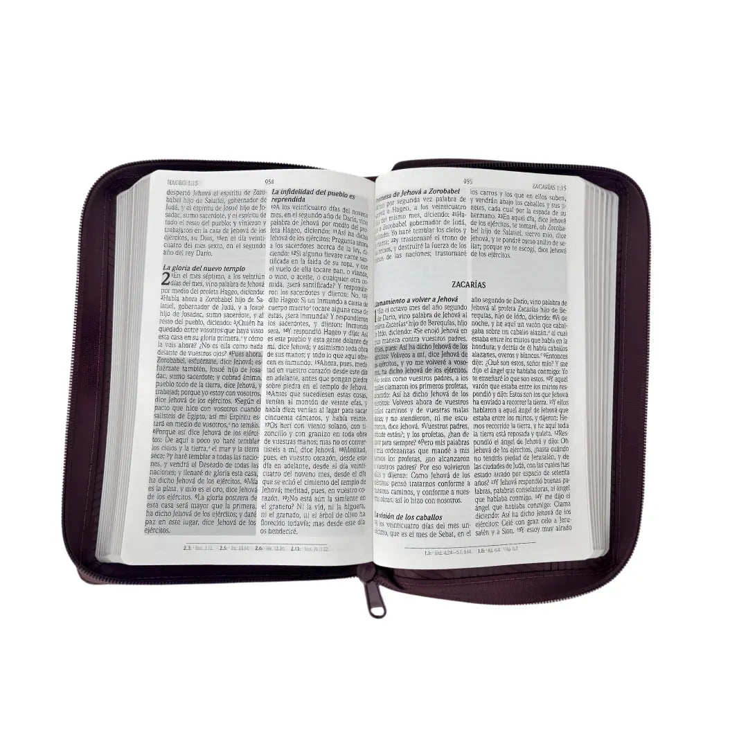Biblia RVR 1960 de promesas letra Grande tamaño manual marrón líneas Simil Piel con Cierre