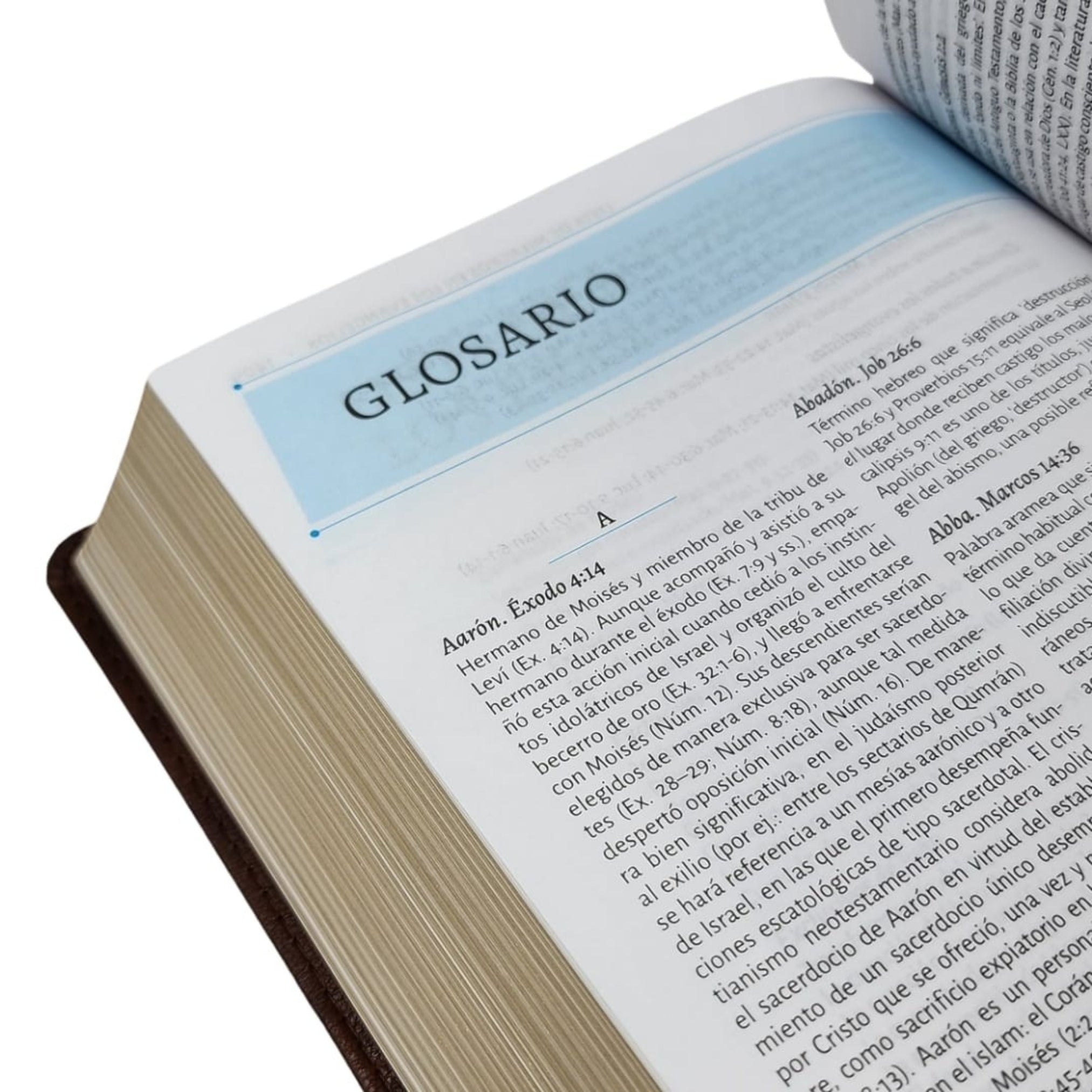 BIBLIA DE ESTUDIO CÉSAR VIDAL RVR1960 (TAPA IMITACIÓN PIEL)