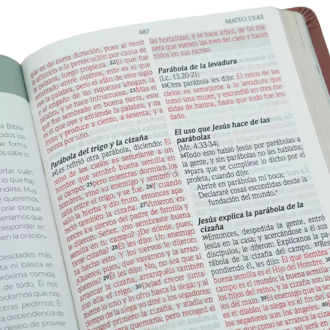 Biblia de Promesas RVR-1960 Devocional , Virtuosa, Letra gigante, Piel especial, Rosa