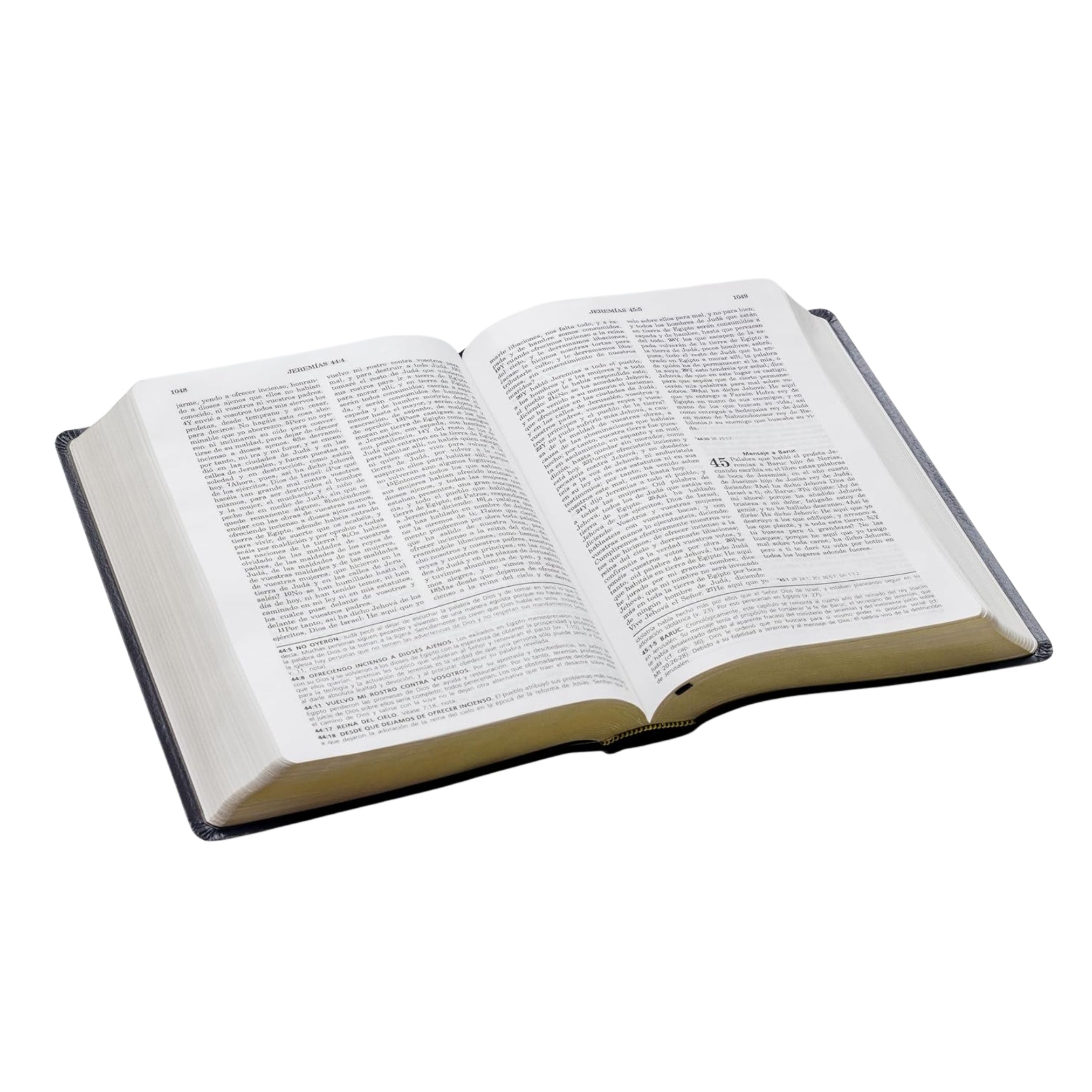 Biblia de estudio Vida Plena RVR60 i/piel Negro