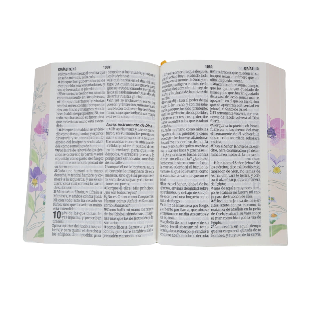 Biblia Reina Valera 1960 manual letra gigante 14 pts Vini flora