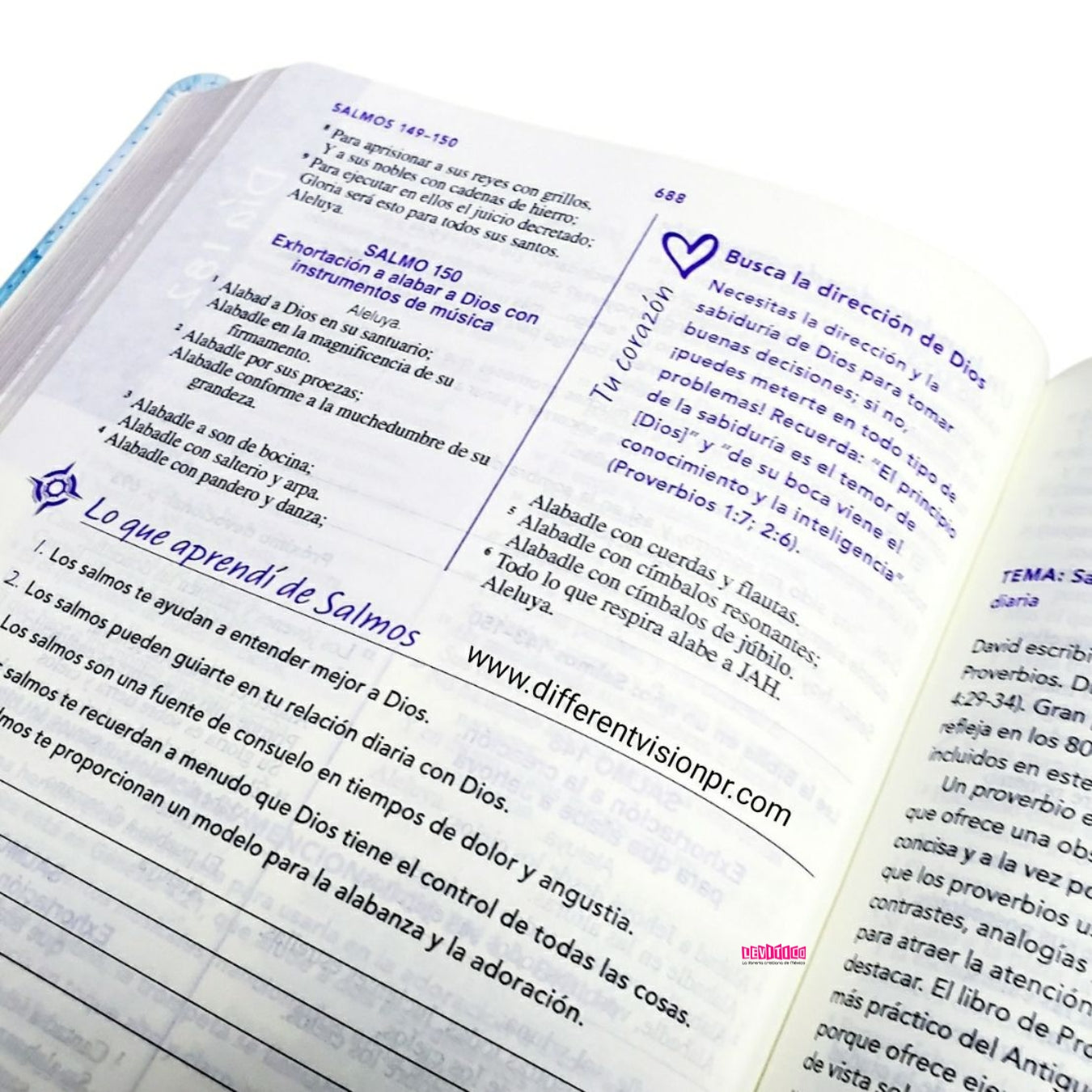 Biblia RVR60 De Una Joven Conforme Al Corazón/ Brisa Imitación Piel