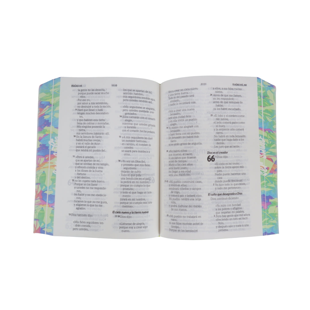 Biblia Traducción Lenguaje actual compacta  letra grande 11 pts vinil ser sabio Levítico