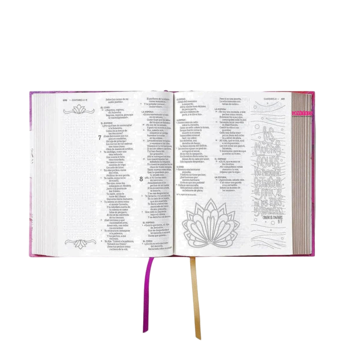 Biblia NBLA/Edición Artística Ilustrada/Rosado/Con Diseño Tapa Dura/Tela