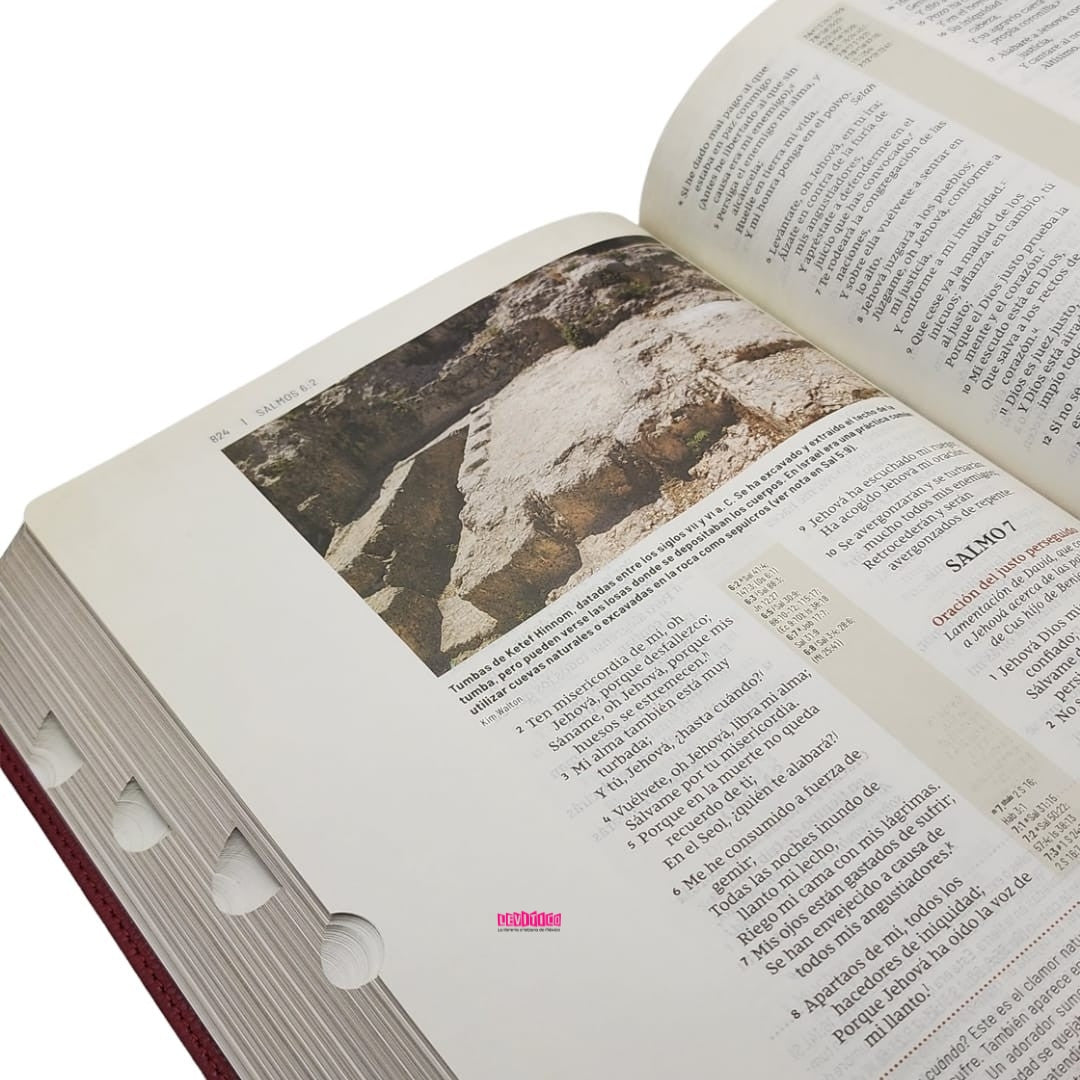 BIBLIA DE ESTUDIO TRASFONDO CULTURAL RVR1977 CON ÍNDICE (TAPA IMITACIÓN PIEL)