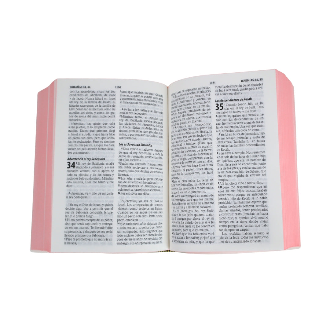 Biblia Traduccion lenguaje actual compacta letra grande 11 pts vinil amaranth