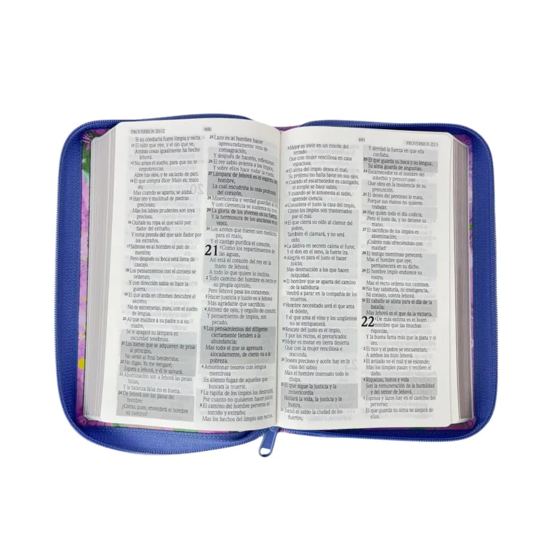 Biblia de promesas Rvr 1960  tamaño manual c/cierre lila