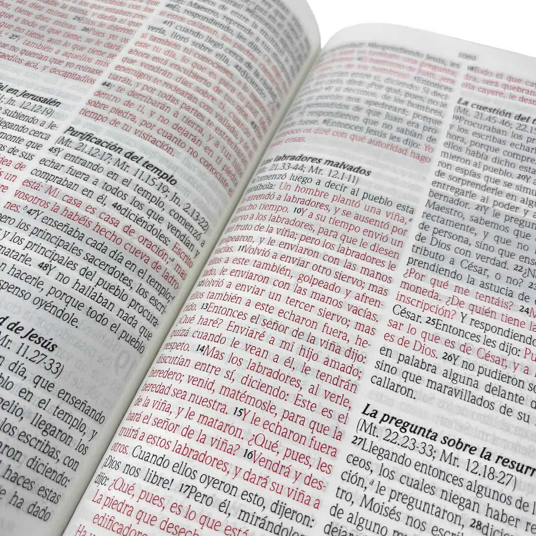 Biblia de promesas Rvr 1960  tamaño manual c/cierre lila