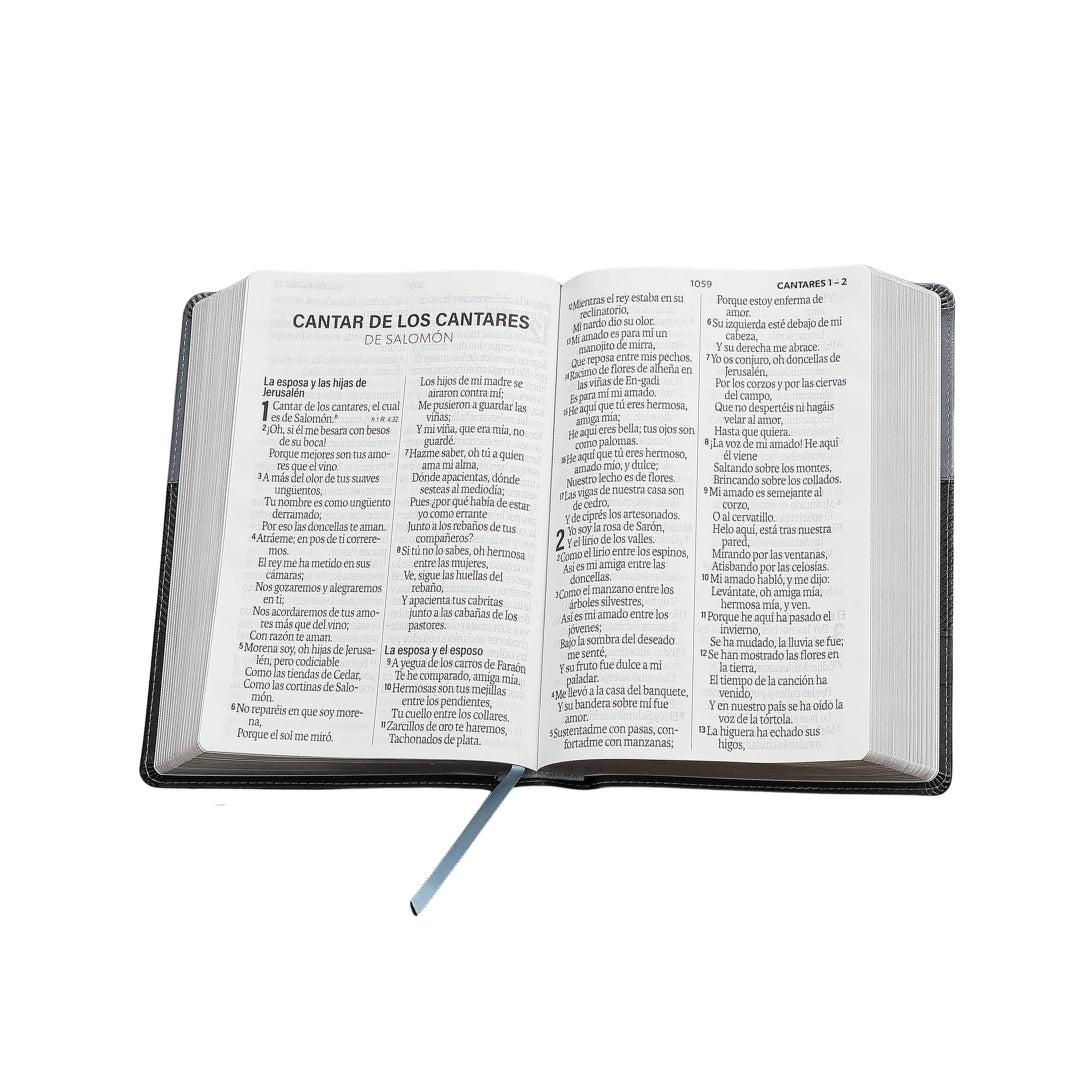 Biblia RVR60 Letra Súper Gigante i/piel Negro Geométrico