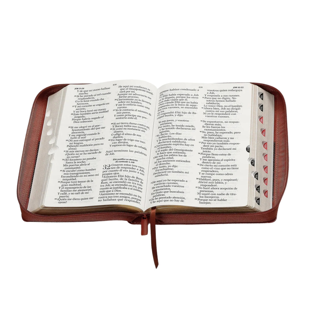 Biblia Reina Valera 1960 Letra Gigante PJR filo Dorado con Cierre e Índice Café