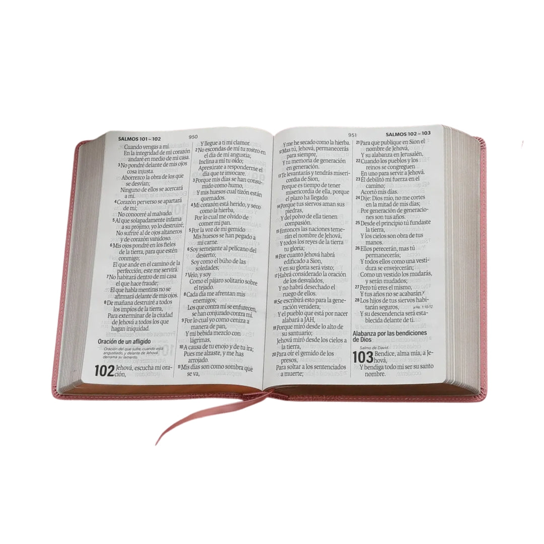 Biblia Reina Valera 1960 Letra Súper Gigante i/piel Rosa Floral
