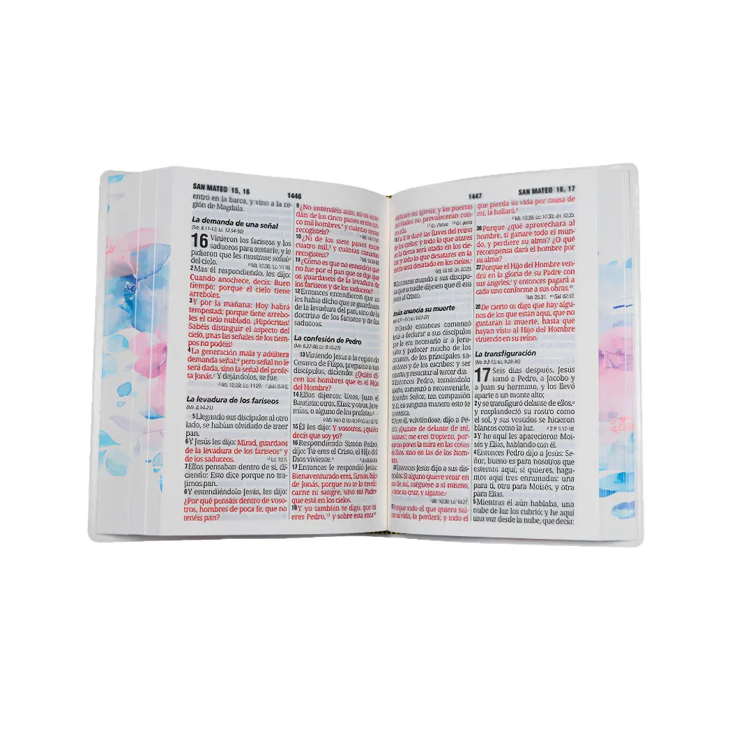 Biblia Reina Valera 1960 compacta Letra Grande 11 pts Vinil