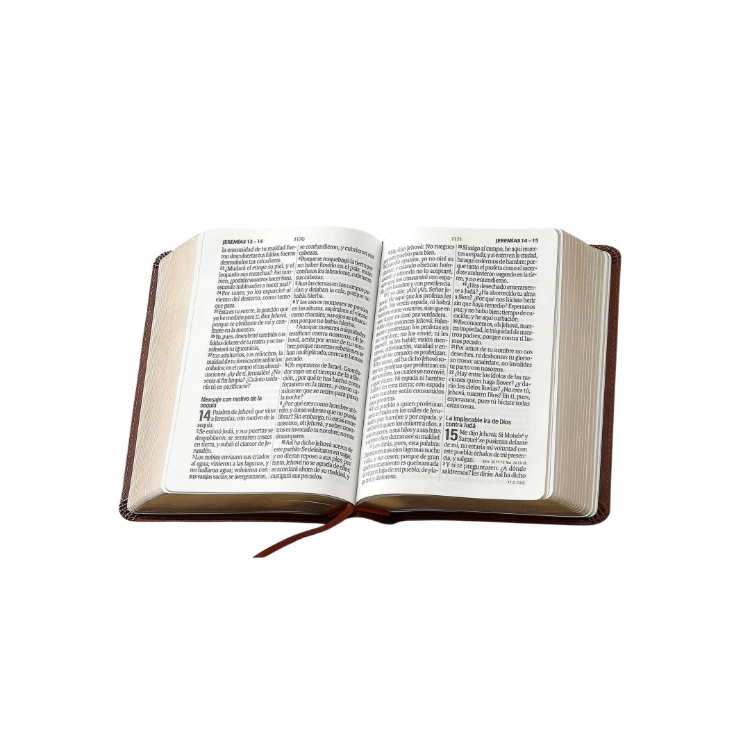 Biblia Reina Valera 1960 tamaño compacto Letra Grande i/piel café claro