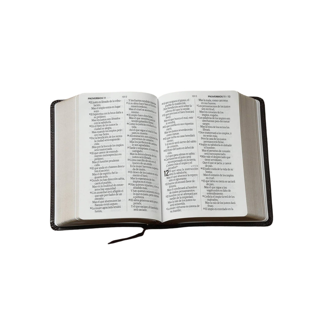 Biblia Reina Valera 1960 tamaño compacto Letra Grande i/piel café oscuro