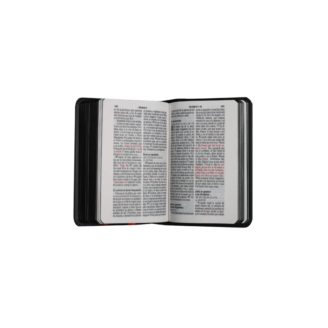 Biblia Reina Valera 1960 Mini-Bolsillo Letra Chica Tapa Dura León