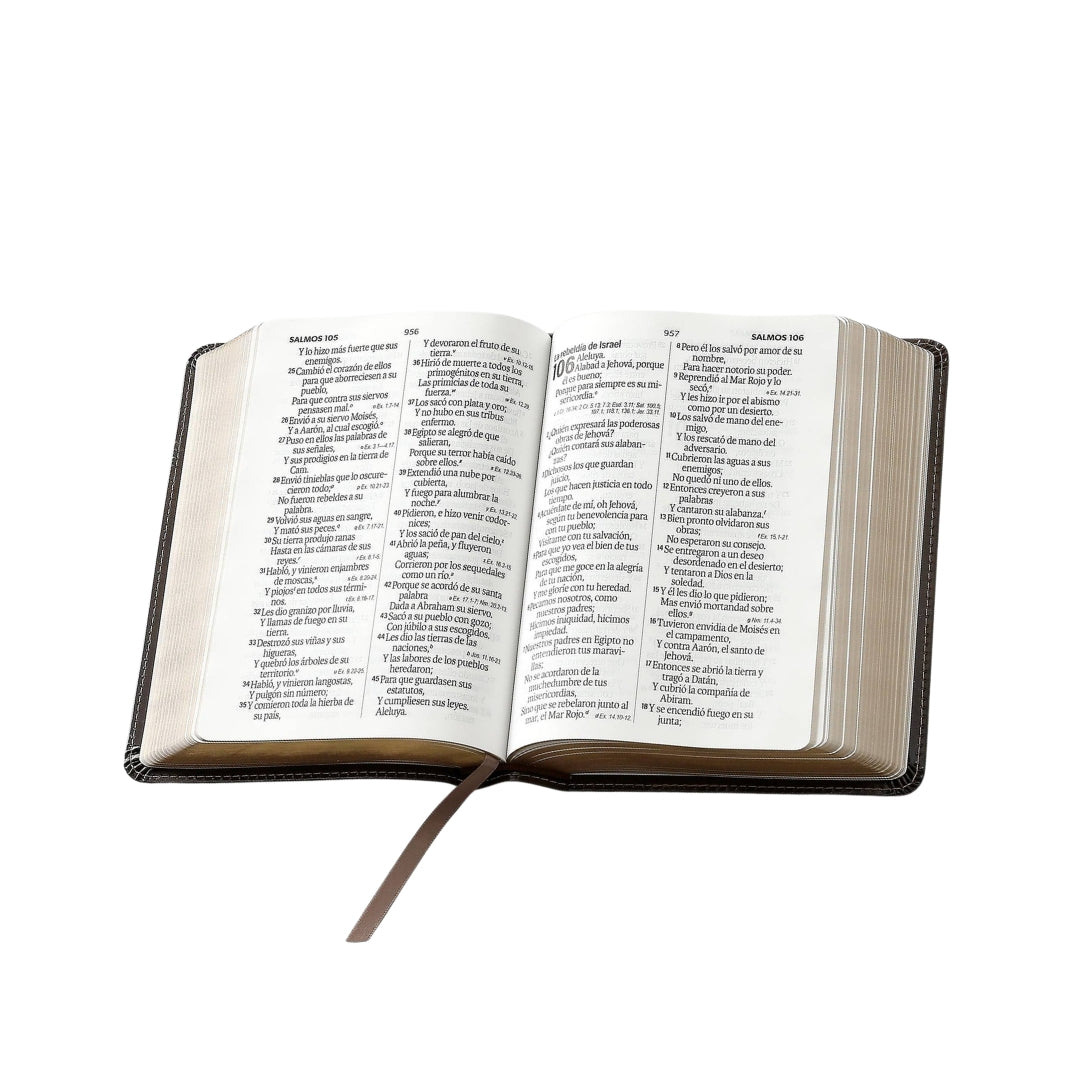 Biblia Reina Valera 1960 tamaño compacto Letra Grande i/piel mokka