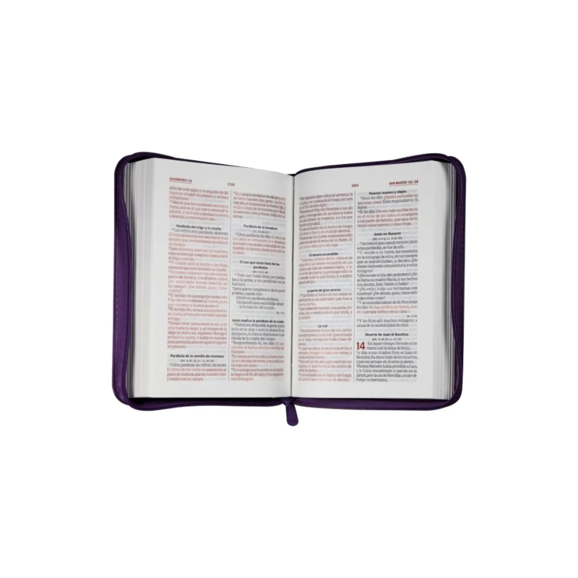 Biblia Reina Valera 1960 Chica Letra Chica Imitación piel Uva