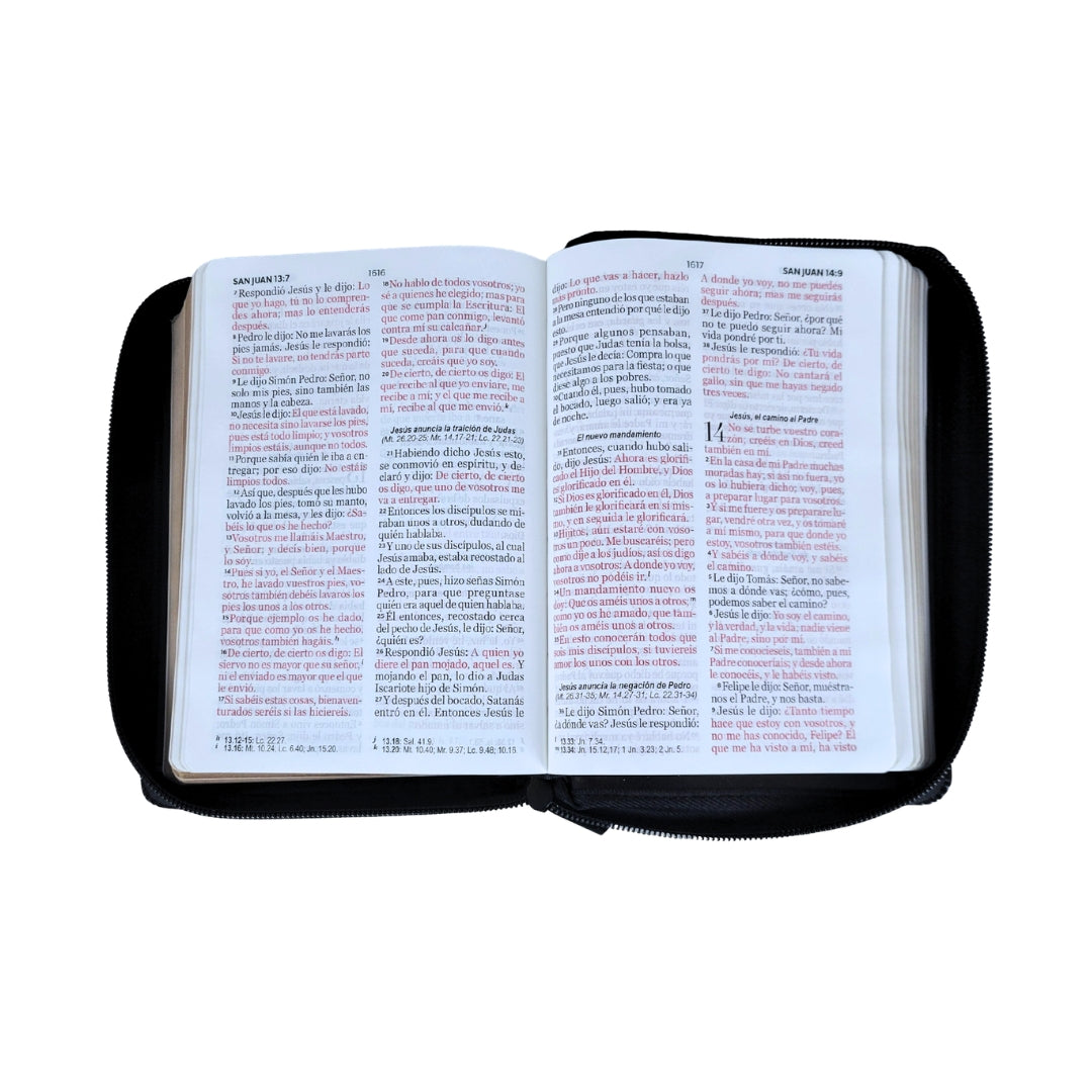 Biblia Reina Valera 1960 con Cierre Compacta Letra 11 puntos, imit piel negro