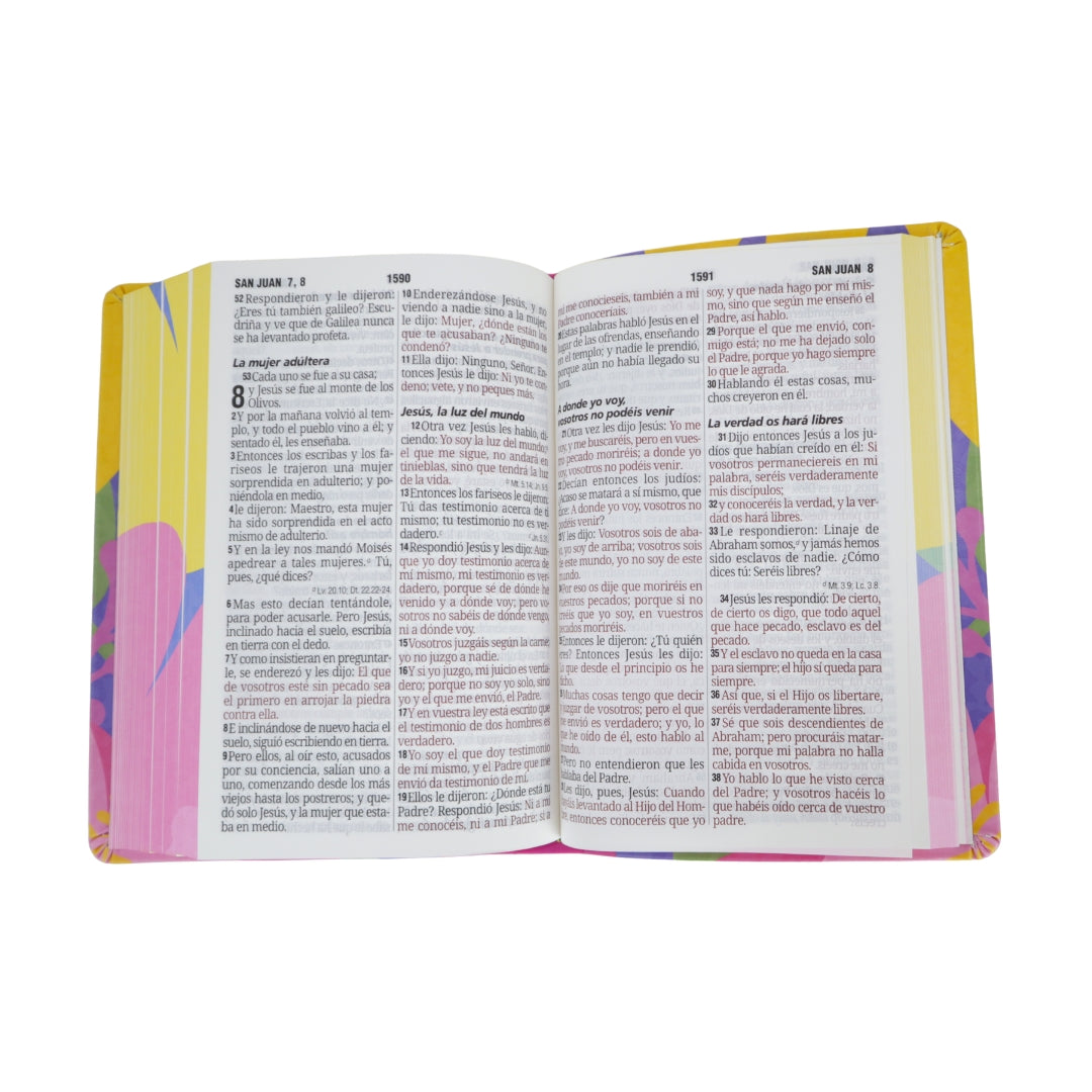 Biblia Reina Valera 1960 mediana letra gigante 14 pts imitación piel lycoris
