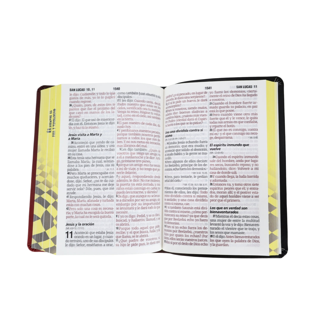 Biblia Reina Valera 1960 Mediana Letra Gigante 14 pts Vinil fiel