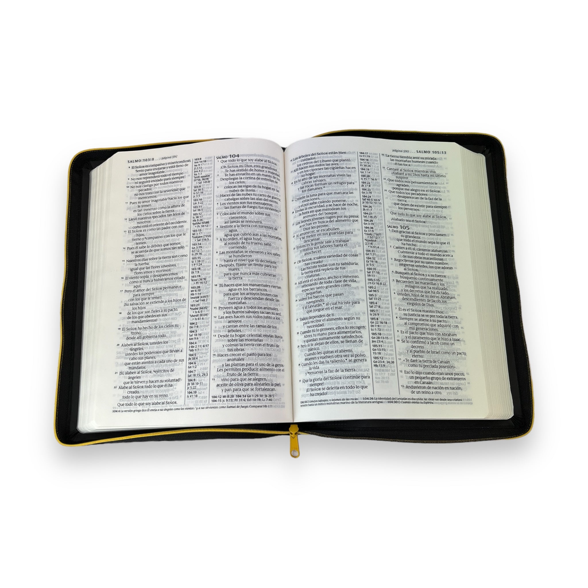 SANTA BIBLIA NVI LETRA GRANDE, TAMAÑO MANUAL CON CIERRE – CUERO ECOLOGICO MADERA