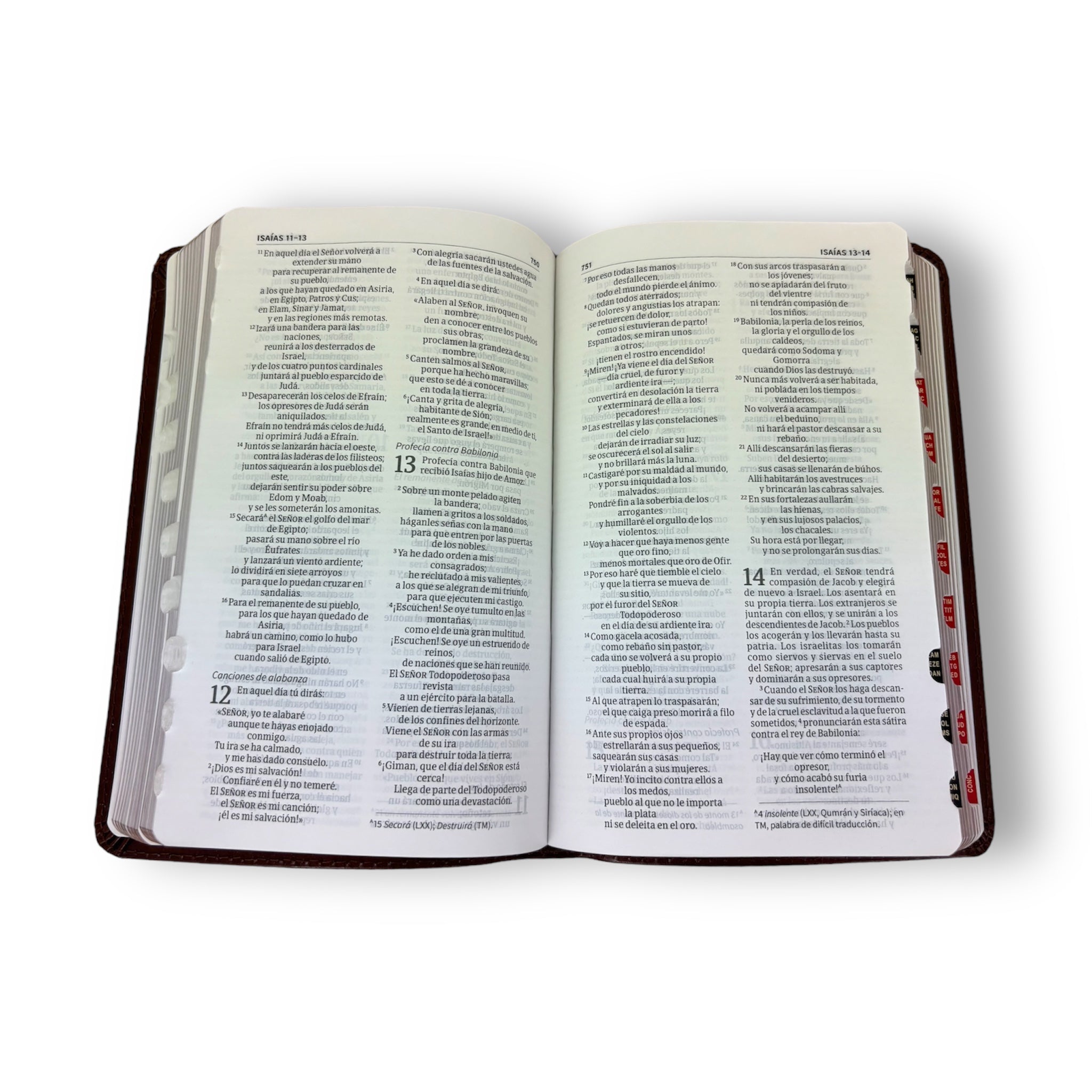 Santa NVI Biblia compacta letra grande, marrón, piel fabricada con índice