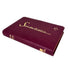 BIBLIA REINA VALERA 1960 MEDIANA LETRA GRANDE IMITACION PIEL CANTO DORADO