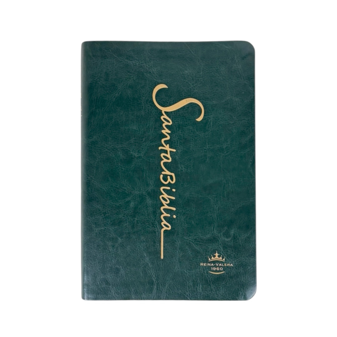 BIBLIA REINA VALERA 1960 MEDIANA LETRA GRANDE IMITACION PIEL CANTO DORADO verde