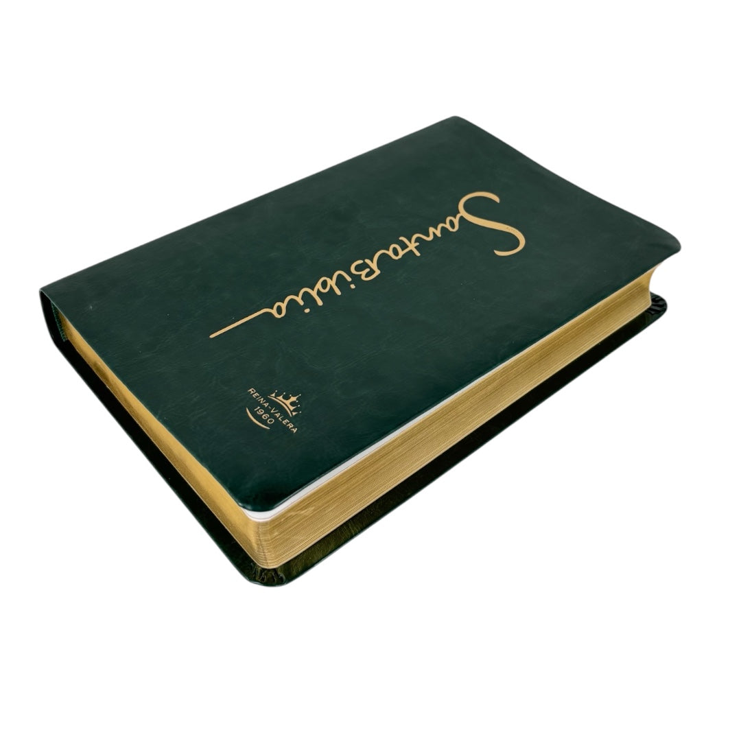 BIBLIA REINA VALERA 1960 MEDIANA LETRA GRANDE IMITACION PIEL CANTO DORADO