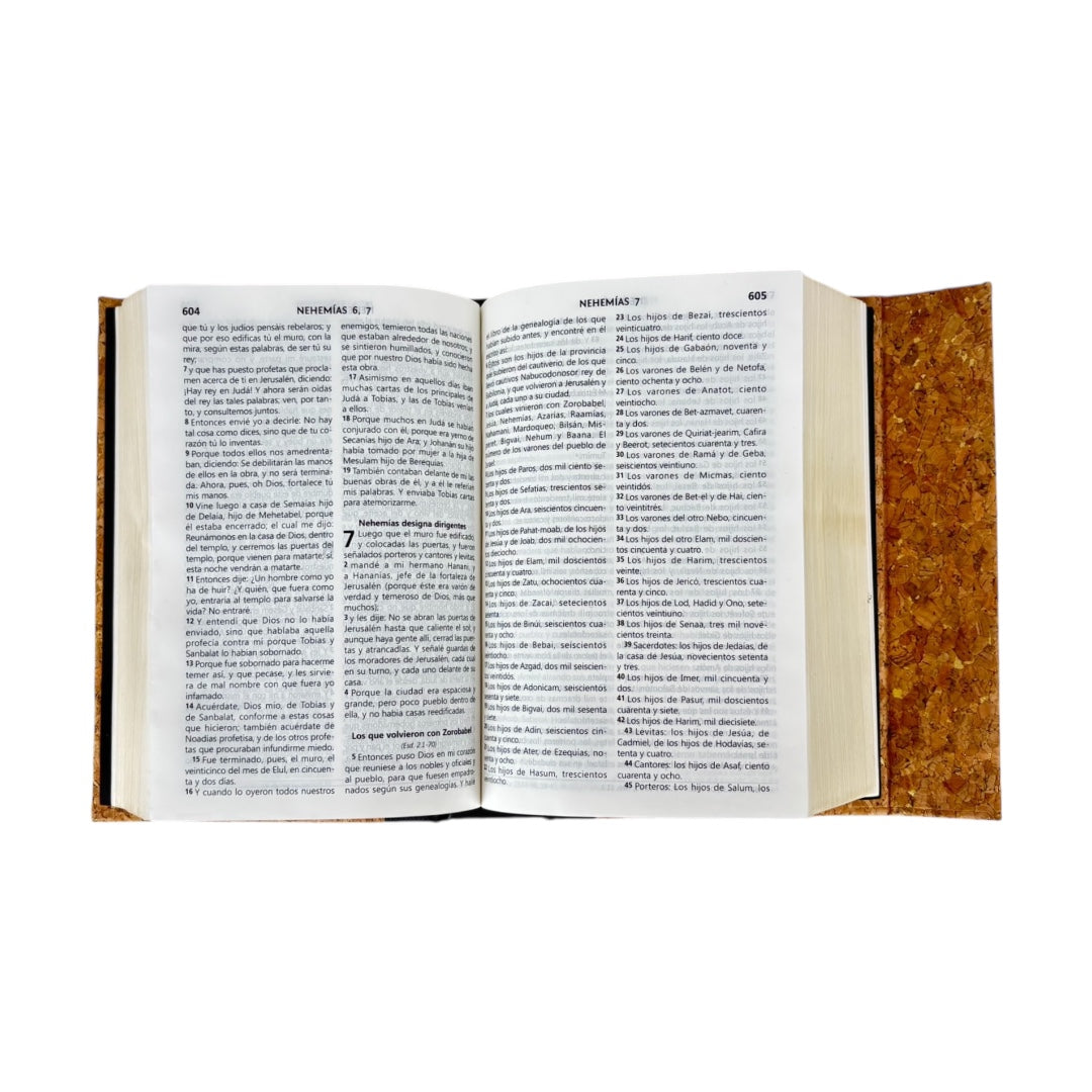 BIBLIA REINA VALERA 1960 COMPACTA CORCHO CON SOLAPA