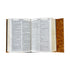 BIBLIA REINA VALERA 1960 COMPACTA CORCHO CON SOLAPA