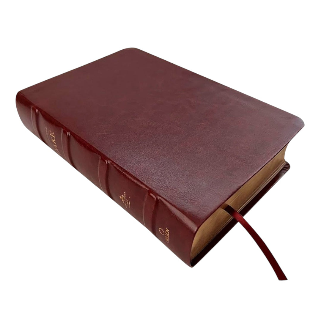 Biblia Reina Valera 1960 Estudio Dake Piel Marrón