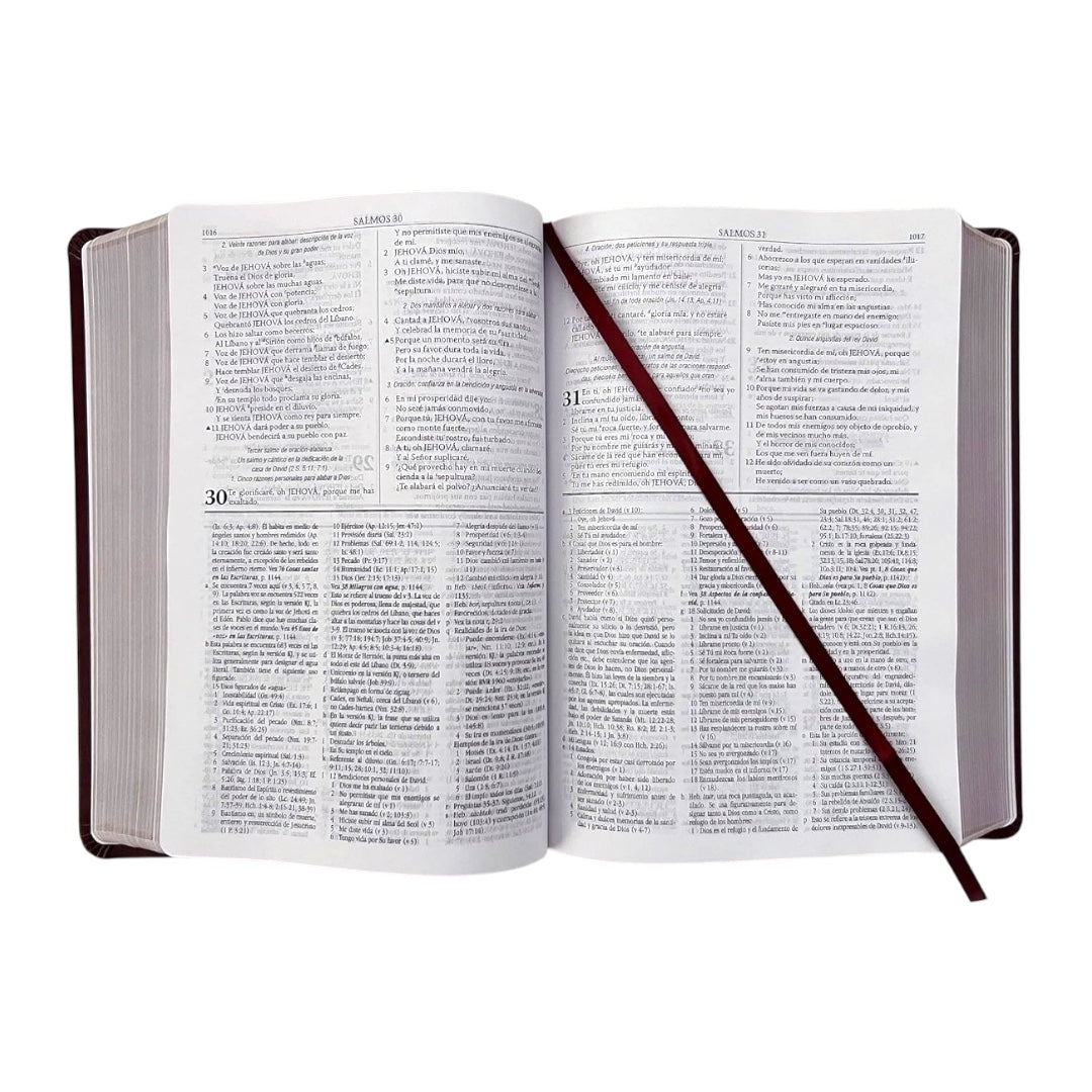 Biblia Reina Valera 1960 Estudio Dake Piel Marrón