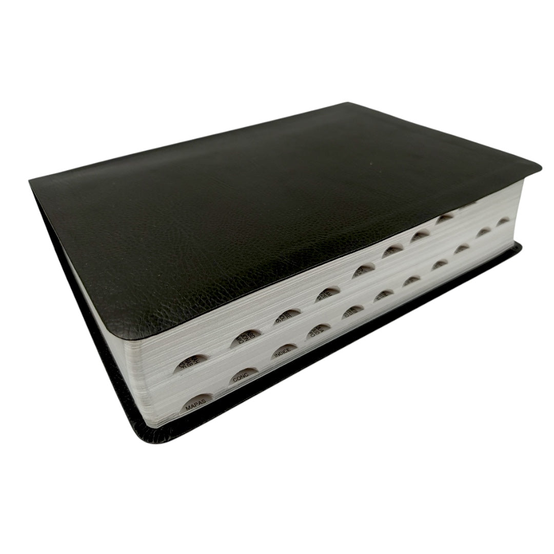 Biblia de estudio del diario vivir NTV (Piel fabricada, Negro, Índice, Letra Roja)