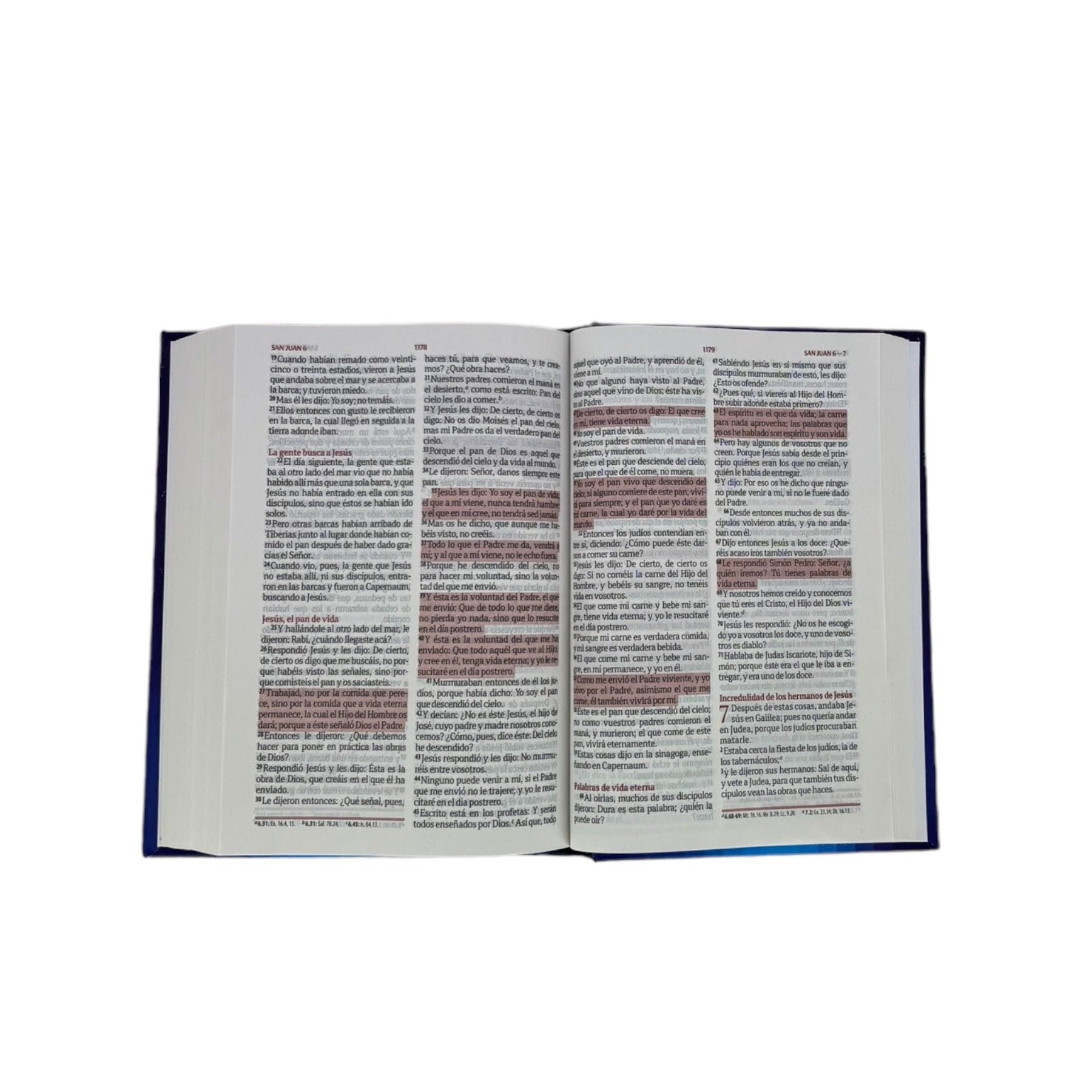 BIBLIA RVR1960  FUENTE DE BENDICIONES COMPACTA TAPA DURA AZUL