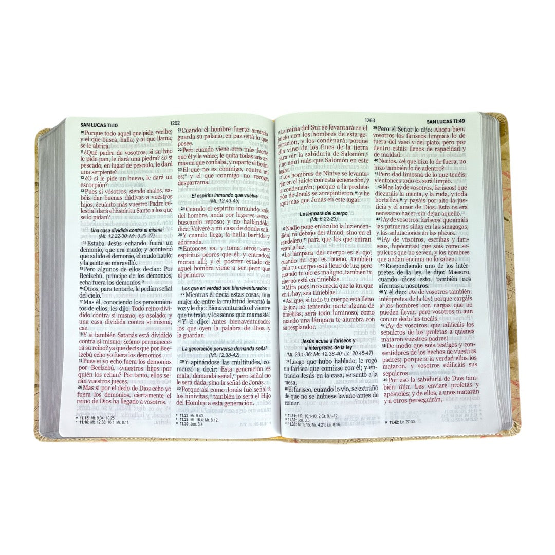 BIBLIA REINA VALERA 1960 LETRA GIGANTE SABIDURIA