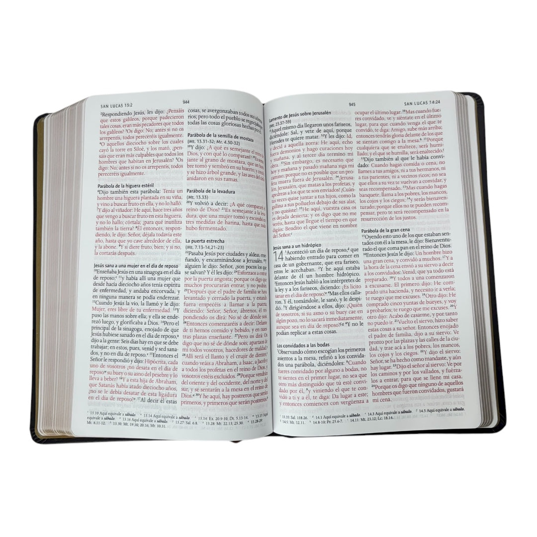 BIBLIA REINA VALERA 1960 LETRA GRANDE LEÓN DE JUDÁ EDICIÓN ESPECIAL BRONCE