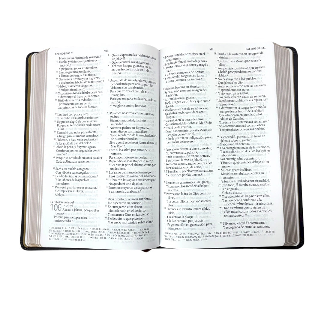 BIBLIA REINA VALERA 1960 LETRA GRANDE LEÓN DE JUDÁ EDICIÓN ESPECIAL BRONCE