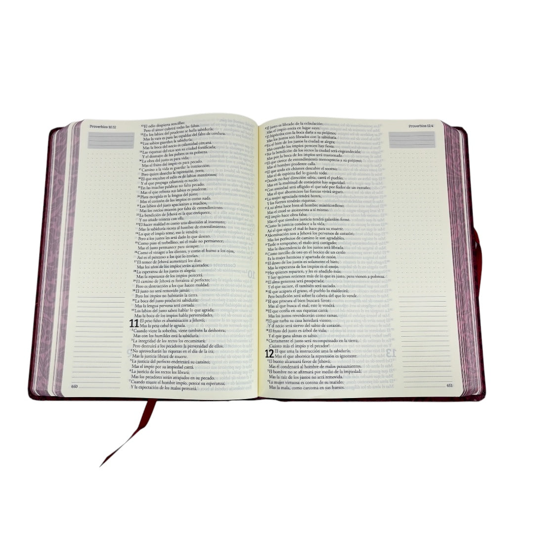 BIBLIA DE APUNTES REINA VALERA 1960 TAPA DURA VINO CANTO FLORAL