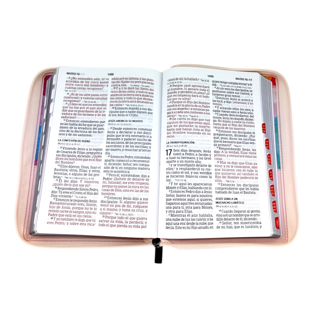 BIBLIA RVR1960 LETRA GIGANTE MANUAL DISEÑO ARTISTICA SIMIL PIEL CIERRE/INDICE