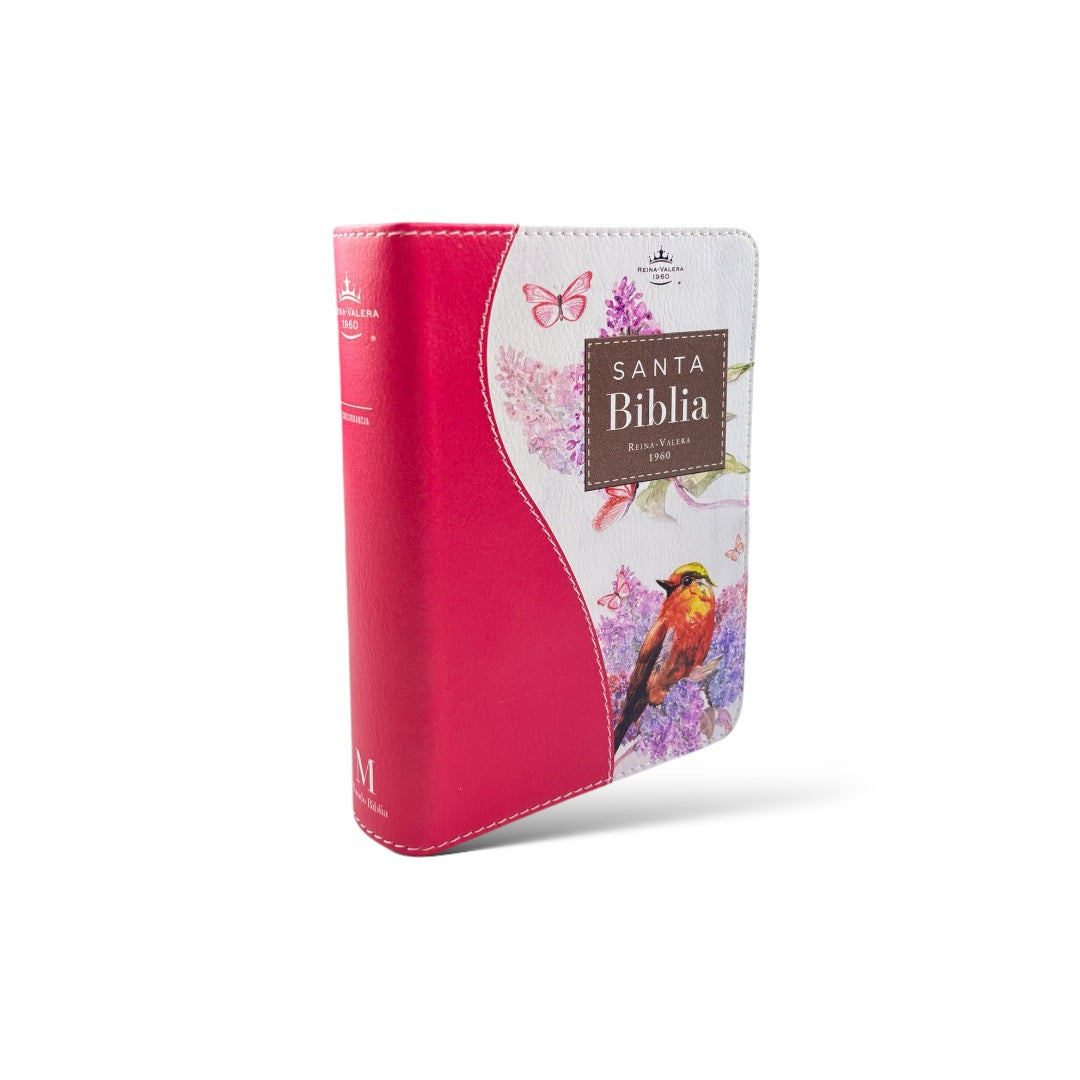 BIBLIA REINA VALERA 1960 BOLSILLO RENOVACION  FUCSIA