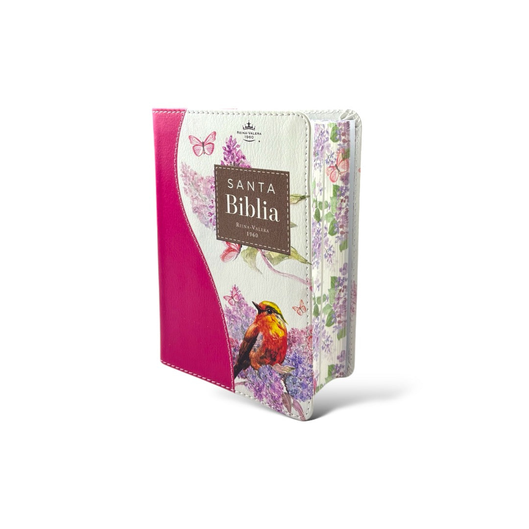 BIBLIA REINA VALERA 1960 BOLSILLO RENOVACION  FUCSIA