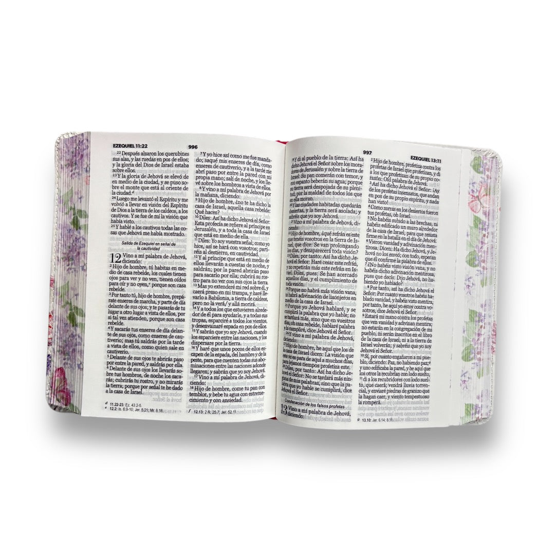 BIBLIA REINA VALERA 1960 BOLSILLO RENOVACION  FUCSIA