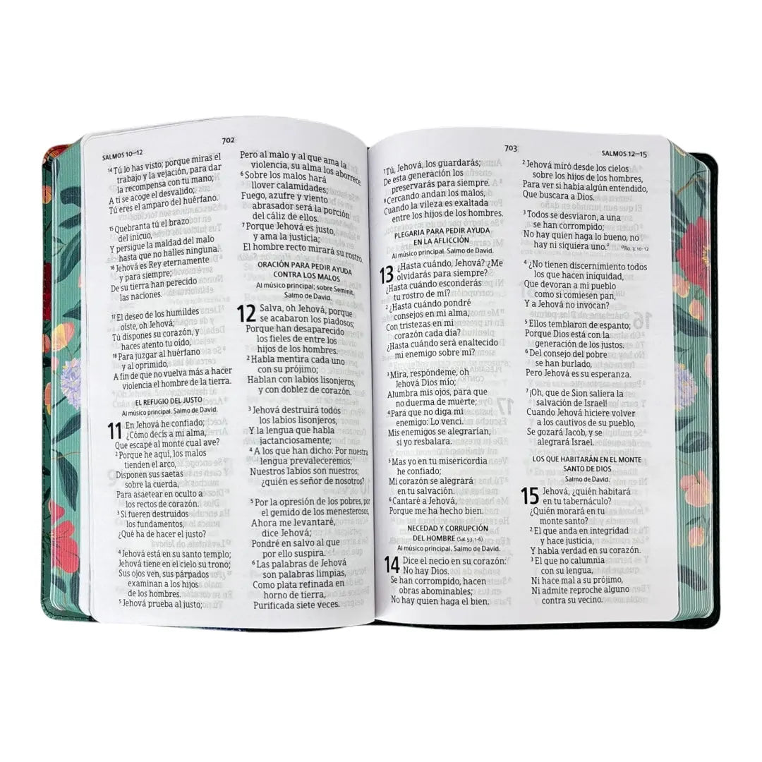 Biblia Reina valera letra grande manual edicion especial Verde Floreado simil piel