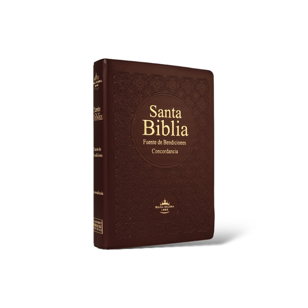 BIBLIA REINA VALERA 1960 FUENTE DE BENDICIONES CANTO PINTADO