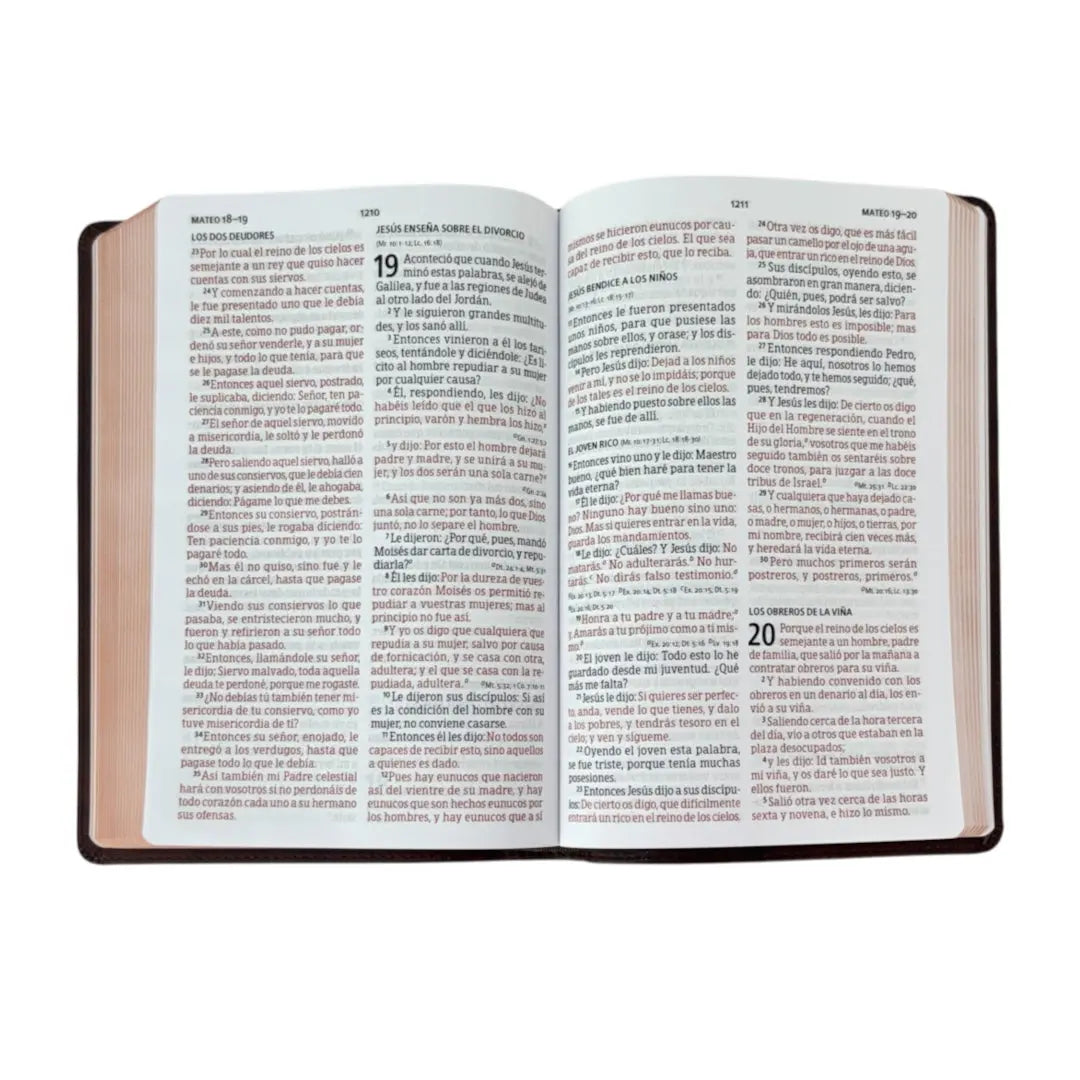 Biblia Reina valera 1960 letra grande manual edicion especial simil piel cafe tierra